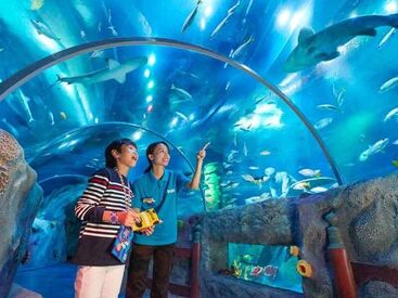 水族館のレアバイト★
未経験歓迎！
少しでも気になる方は、
お気軽にご応募ください♪