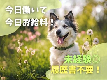 テイケイワークス東京　柏支店/TWT144 「現金手渡し」の会社って、珍しいんですよ！大量募集中の今がチャンスです！