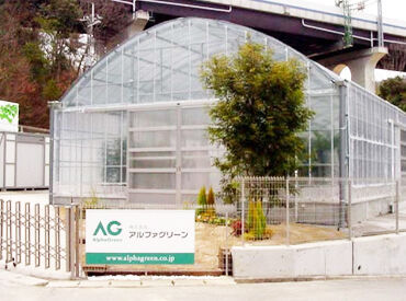 株式会社アルファグリーン 北神戸営業所 ▼観葉植物のお世話好き注目▼
＊土いじりすき！
＊ガーデニングが好き！
＊全く経験ないけど興味ある！
気になったら是非♪
