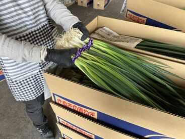 完全未経験の方も大歓迎！
慣れてしまえばどの作業も簡単なので、
＼まずはやってみましょう！！／
しっかりサポートします◎