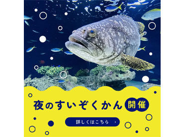 マリンワールドレストラン　レイリー 一番の推しは目の前の大水槽！
可愛いイルカに癒されながら働けます◎
おしゃれで映えるレストランでバイトしませんか？