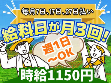株式会社北印　帯広営業所 <時給1150〜1600円◎>

慣れればとってもカンタンなお仕事！
野菜の持ち帰りOKなど
嬉しい待遇が盛りだくさんです◎
