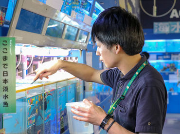 ペットショップstaff 動物が好き 人と話すのが好き そんな方にピッタリ うさぎ ハムスターetc カワイイ小動物に囲まれてお仕事しませんか ペットショップstaff 動物が好き 人と話すのが好き そんな方にピッタリ うさぎ ハムスターetc カワイイ小動物に囲まれてお仕事しませんか