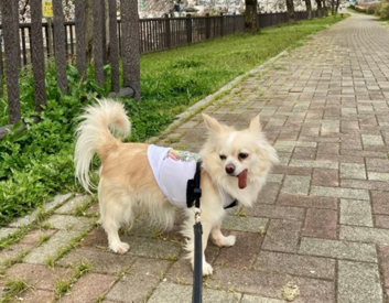 グループホーム三郷 ★普段通りの姿でOK★
服装、髪色、髪型など自由度高め！自分なりのおしゃれも楽しめる職場です♪