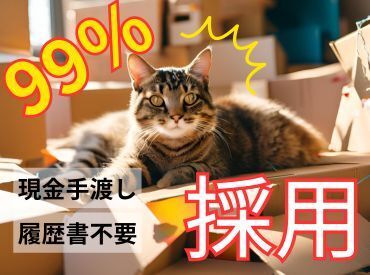 テイケイワークス東京　柏支店/TWT144 ＼現金手渡しって珍しいんですよ！／
年齢不問！未経験でもカンタンなお仕事！
サクッと稼げる♪