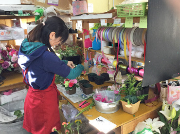 マイナビバイト 横浜 花屋 バイトのアルバイト バイト 求人 仕事