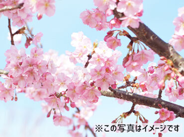 有限会社 南部総合管理 （勤務地：さくら公園） ＼3月23日～4月7日の短期バイト★／
キレイな桜を見ながら働けますよ♪
春ならではのお仕事しませんか？