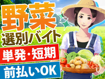 株式会社アスクゲートトラスト 旭川店 ガッツリ稼いで収入UP+゜
自分のペースでお小遣い稼ぎしよう！
勤務地へは無料送迎有◎
