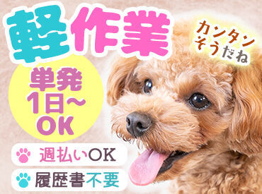 アシストユー株式会社　京都営業所 とっても簡単なオシゴトだから、
初日から活躍できるかも( *´艸｀)
