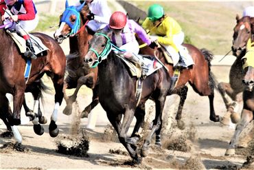 園田競馬場を巡回のお仕事！
・職員の方の入場者
・退場者の確認作業
