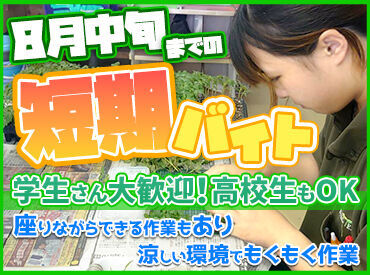 ベルグアース株式会社　宇和島本社 ＜約1ヶ月の短期バイト★＞
日曜日は定休＆日中だけのお仕事です！
夏休み期間に稼ぎたい学生や主婦(夫)さんにピッタリ◎
