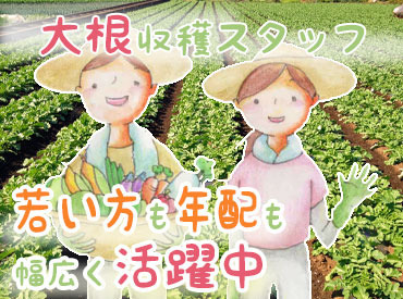 有限会社中谷農園 【やりがい抜群！】
大根の洗浄や箱詰め作業など…
男性staff活躍中です♪