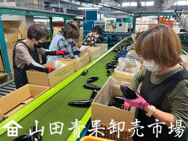 株式会社山田青果卸売市場 『まずは職場見学だけ』も歓迎◎
高校生～シニアの方まで大活躍中！
人気のもくもくシンプル作業♪