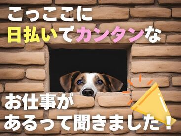 株式会社エスケイコンサルタント　柏支店/sk707 年齢不問！日払いOK★
未経験でもカンタンなお仕事！