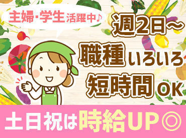 マイカイマート東所沢店 <<フリーターさんも歓迎！>>
幅広く積極的に採用を行っています★
シフトのことはお気軽にご相談ください◎