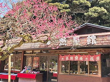 太宰府 照星館（しょうせいかん） 手ぶら面接OK！履歴書不要です！
心機一転、お気軽にはじめてみませんか？
スタート日はご都合に合わせます♪