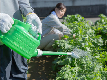 マイナビバイト 植栽管理 新東産業株式会社 勤務地 国際法務総合センターのアルバイト バイト求人情報 青梅線 東中神駅 徒歩15分 昭島市 週5日 1日8時間以上 清掃 ビル管理 メンテナンス 仕事探しなら マイナビバイト東京版 J マイナビバイト 植栽管理 新東産業株式会社 勤務地 国際法務総合センターのアルバイト バイト求人情報 青梅線 東中神駅 徒歩15分 昭島市 週5日 1日8時間以上 清掃 ビル管理 メンテナンス 仕事探しなら マイナビバイト東京版 J
