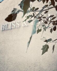 株式会社セイエイインターナショナル　BLISS＆HILL 作業はもくもく＆集中…
でもスタッフの雰囲気は和気あいあい♪＊
居心地の良い職場です◎
