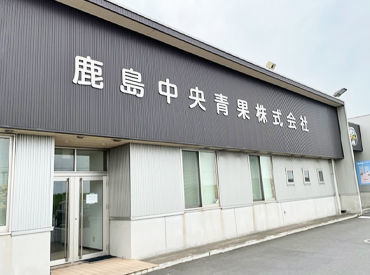 鹿島中央青果株式会社の青果市場スタッフのバイト アルバイト求人情報 マイナビバイトで仕事探し