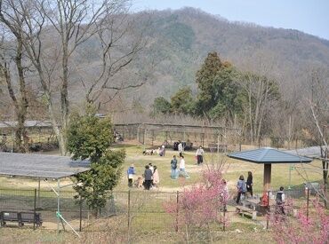 大人気スポット『まんのう公園』で働こう♪
未経験から契約社員で安定勤務◎
交通費支給＆ボーナスありの待遇もバッチリ！
