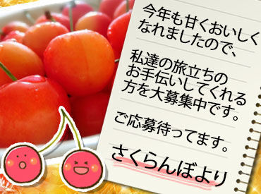 株式会社ジェイエイてんどうフーズ 今年もさくらんぼの季節がやってきました！
お仕事は仕分けや箱詰めなど、
難しい業務は一切ありません♪