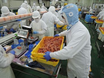 博多まるきた水産　本社工場 幅広い年齢層の方々が活躍！
近くに先輩スタッフがいますので、
困ったことがあってもすぐに質問できる環境です◎