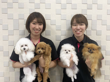 もふもふな犬や猫に囲まれて毎日幸せ気分で働いてます！
いっそ…自分のものにしちゃいたい！なんて思ったり♪ 笑