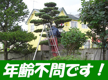 株式会社真鍋庭園緑化 ～11月限定のお仕事
50～60代のスタッフが活躍中！未経験からスタートした先輩ばかり。自動車免許があればどなたでも応募OK！