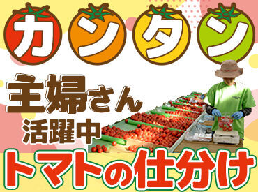 株式会社エア・ウォーター農園　安曇野菜園 1日4時間～の勤務OK！
扶養内勤務も可能です♪
あなたに合った働き方が出来ますよ◎