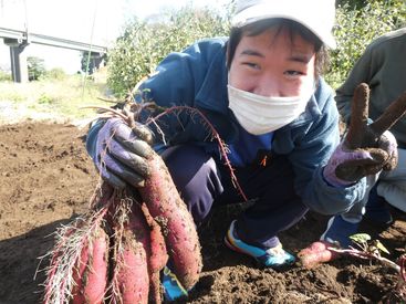 30～60代の幅広い世代が活躍中！
長年働いているスタッフが多数◎