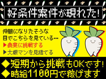 体を動かす仕事がしたい/農業に興味がある etc...
そんな方にピッタリ♪
イチから丁寧にお教えします◎
※画像はイメージ