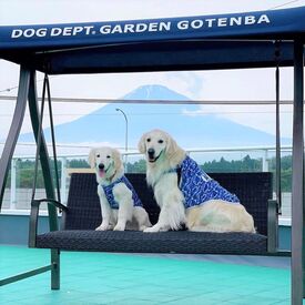 ★未経験者歓迎★
カタいマニュアルはありません◎
愛犬のお話をするのも楽しいです♪