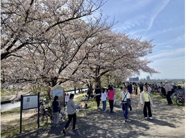 ≪年齢不問≫
自然と関わりながらのびのびと♪
モクモクと集中して作業するのが好きな方にも◎
仕事柄、穏やかで優しい人が多め!