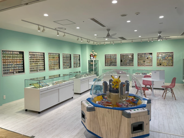 ポケモンカード専門店　ナタデココ松戸店 巷で話題のポケモンカード♪
かわいいキャラクターに囲まれて働ける◎
お客さまと楽しく会話しながら
知識も深まっちゃいます☆