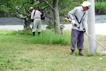 株式会社ハンデックス　水戸営業所/305 週1日～OK◎年齢を理由に諦めない。経験が活かせる現場です！