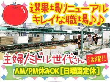 株式会社山福アップル ◇ 冬も通勤しやすい!! ◇
職場までの道のりは、まっすぐで見通しの良い道路◎
冬場も除雪がしっかりされるので安心です♪