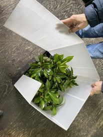 東部花きでの
実際の作業風景です♪
1.バケツの溝に白いガードを差し込む
2.フタをする
次の写真へ→