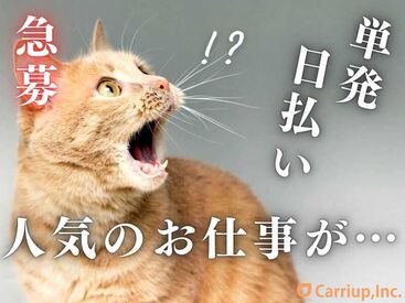 キャリアップ株式会社_大阪南01 単発1日～OKなので空いた日だけ勤務可能！