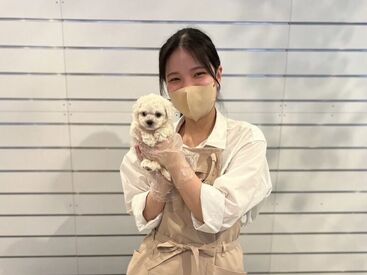 ペットショップWAN　川崎店 可愛いワンちゃんやネコちゃんのお世話などをして頂くお仕事♪
動物好きの方、人とお話しするのが好きな方にお勧め！