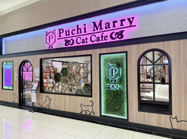 猫カフェPuchiMarryイオンモール高岡店 ★未経験歓迎★
お仕事は優しい先輩が丁寧にお教えします＾＾