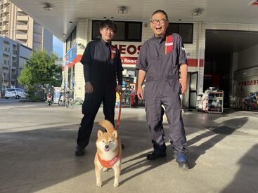 ENEOS与野八幡通りSS 未経験・バイトデビューも大歓迎♪
先輩スタッフが丁寧に教えるのでご安心を◎
看板犬のそらまめくんがあなたをお迎えします♪
