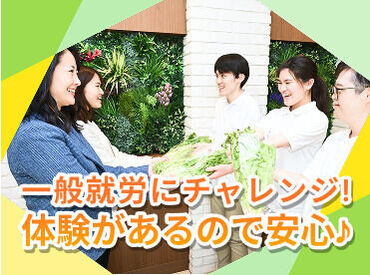 チームを組んでお仕事をします。分からないことはいつでも相談できる環境です♪