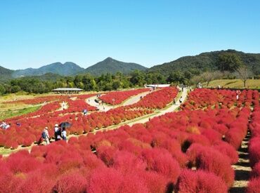 一般財団法人公園財団 まんのう公園管理センター *＊U・I・Jターンも大歓迎!!＊*
経験や資格、学歴(高卒以上であれば)等は不問◎
研修もサポート体制もバッチリ♪
