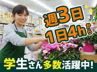 マイナビバイト セキチューstaff セキチュー柏の葉十余二店のアルバイト バイト求人情報 つくばエクスプレス 柏の葉キャンパス駅 車8分 柏市 柏の葉キャンパス駅周辺 週3日以上 1日4時間以上シフト自由 自己申告 ドラッグストア 量販店 仕事探しなら マイ マイナビバイト セキチューstaff セキチュー柏の葉十余二店のアルバイト バイト求人情報 つくばエクスプレス 柏の葉キャンパス駅 車8分 柏市 柏の葉キャンパス駅周辺 週3日以上 1日4時間以上シフト自由 自己申告 ドラッグストア 量販店 仕事探しなら マイ