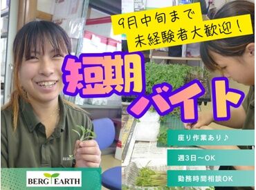 ベルグアース株式会社　本社農場 ＜短期バイトで稼げる＞
日曜日は定休＆日中だけのお仕事です！
短期で稼ぎたい学生さん・主婦(夫)さんにぴったり♪