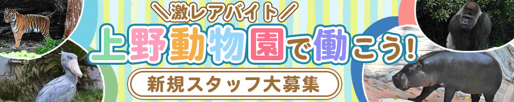 ラージピクチャー