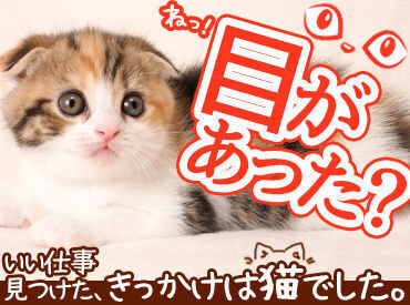 株式会社アスペイワーク/a50230900109 履歴書不要なので、気軽に始められる♪
「ちょっと気になる仕事がある！」そう思ったらお気軽にお問い合わせください！