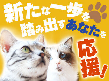 <全国各地にお仕事あり!>
「○○市でありますか?」「こんなお仕事探してます!」etc…
まずはご相談だけでも大歓迎です★