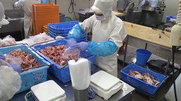 株式会社沖縄丸一食品 ★簡単・もくもく作業★
お肉などの袋詰め作業がメイン◎
力を使ったり大変なことがないのが嬉しい◎