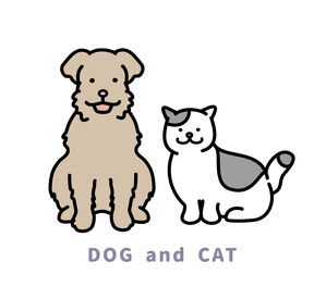▼ワンちゃん・猫ちゃんをご購入頂くだけではない！
新しい家族が見つかった後、
トリミング等で生涯見守れるやりがいもあり◎